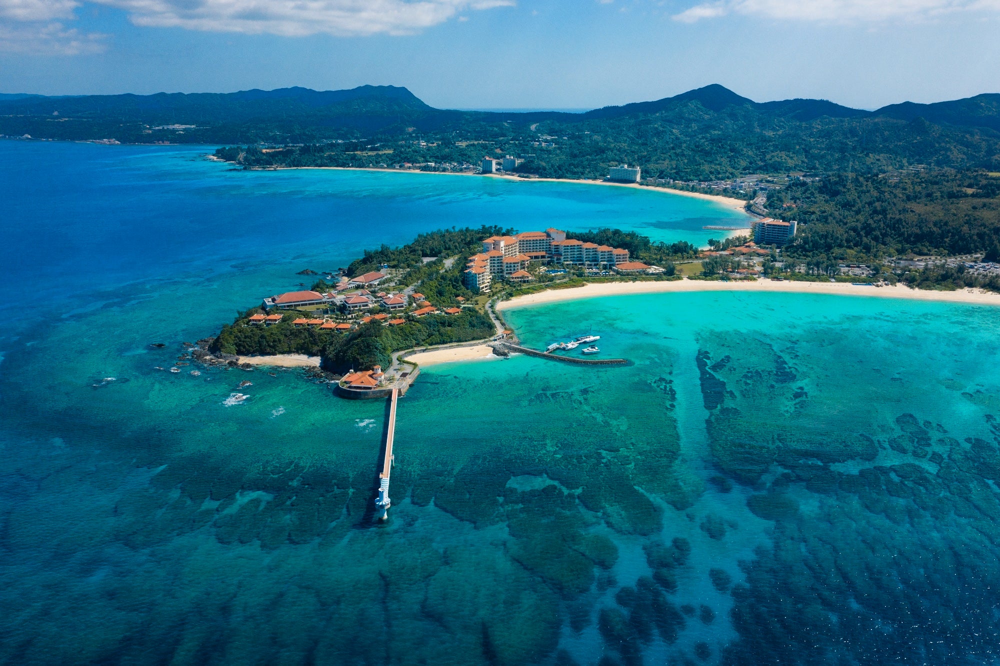 沖縄のサンゴ礁保全活動に取り組むザ・テラスホテルズ。地域や研究者と