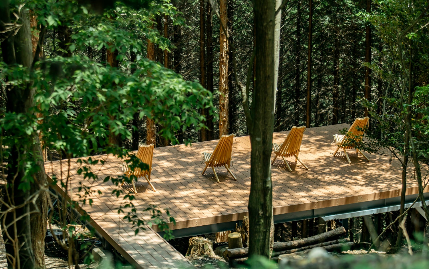 放棄林を再生・保全する一助としての循環葬。選択肢あふれる時代に、森に還る「循環葬®︎」を起案・開発した経緯とは。親の死や終活で感じた違和感を機に〝死〟と向き合った