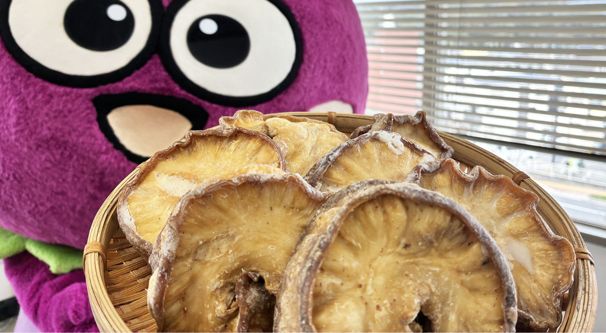 「油かすをもっと知って！」羽曳野市発、全国へ広がる魅力と美味しさ！『油かすプロジェクト』展開中！