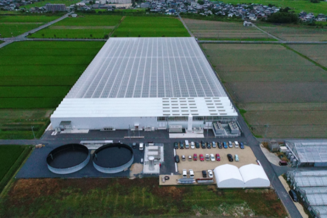 彩りのある日常”はいかがですか？大規模バラ農園の3代目が産地直送を