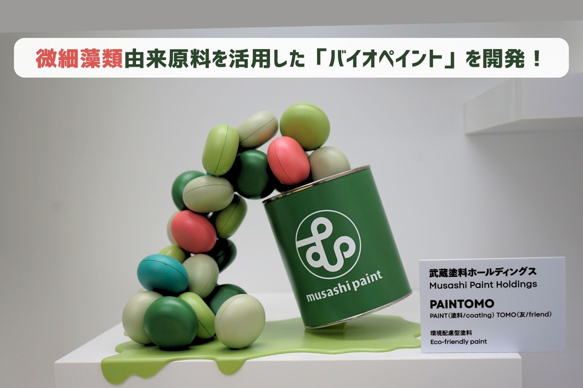 微細藻類由来樹脂を活用した革新的なバイオペイント「PAINTOMO」誕生 ――持続可能な未来を描く、武蔵塗料の挑戦