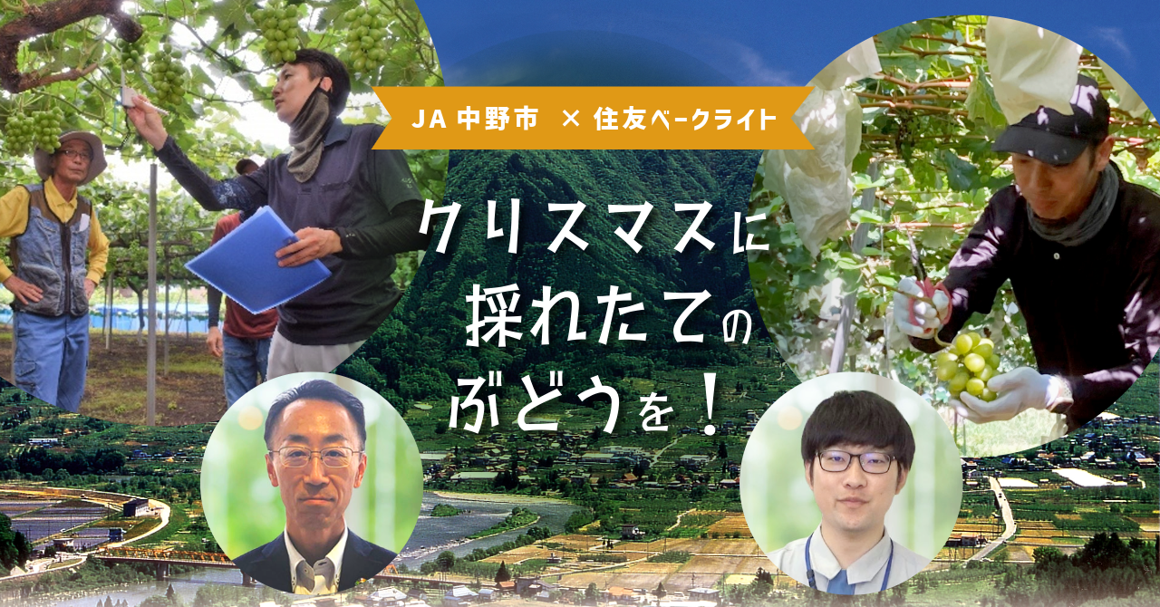 クリスマスに「採れたて」のぶどうを！