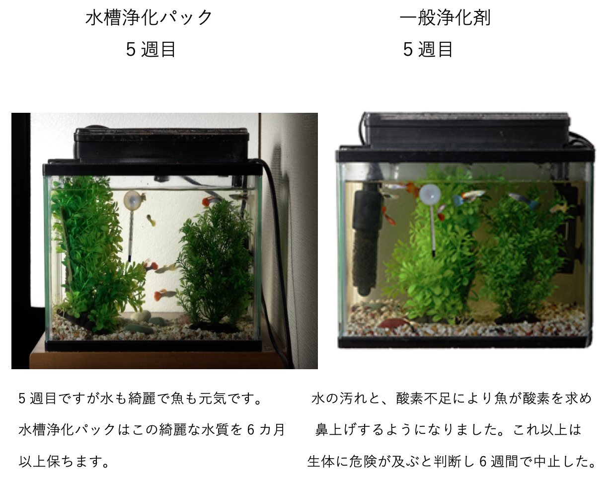 養魚用育水GT-S 20リットル 水槽の臭い・汚れを軽減！フェリージ