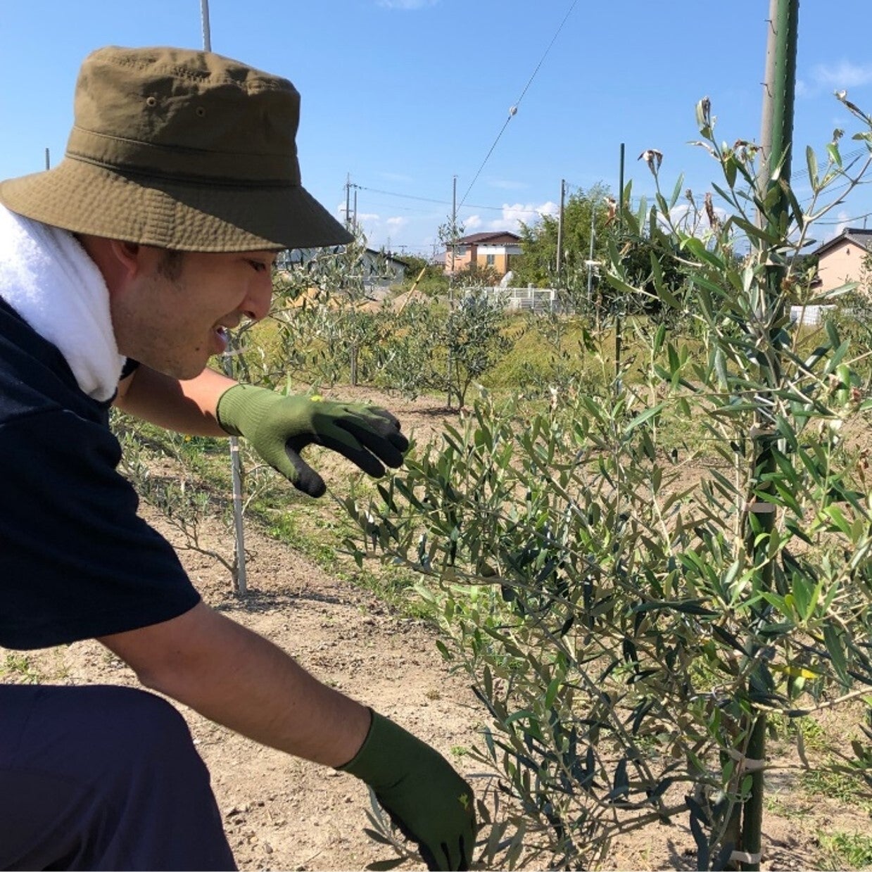 「障がい者が納税者になる」～わい化オリーブ農福連携システム　開発の舞台裏（発想の転換と想い）～