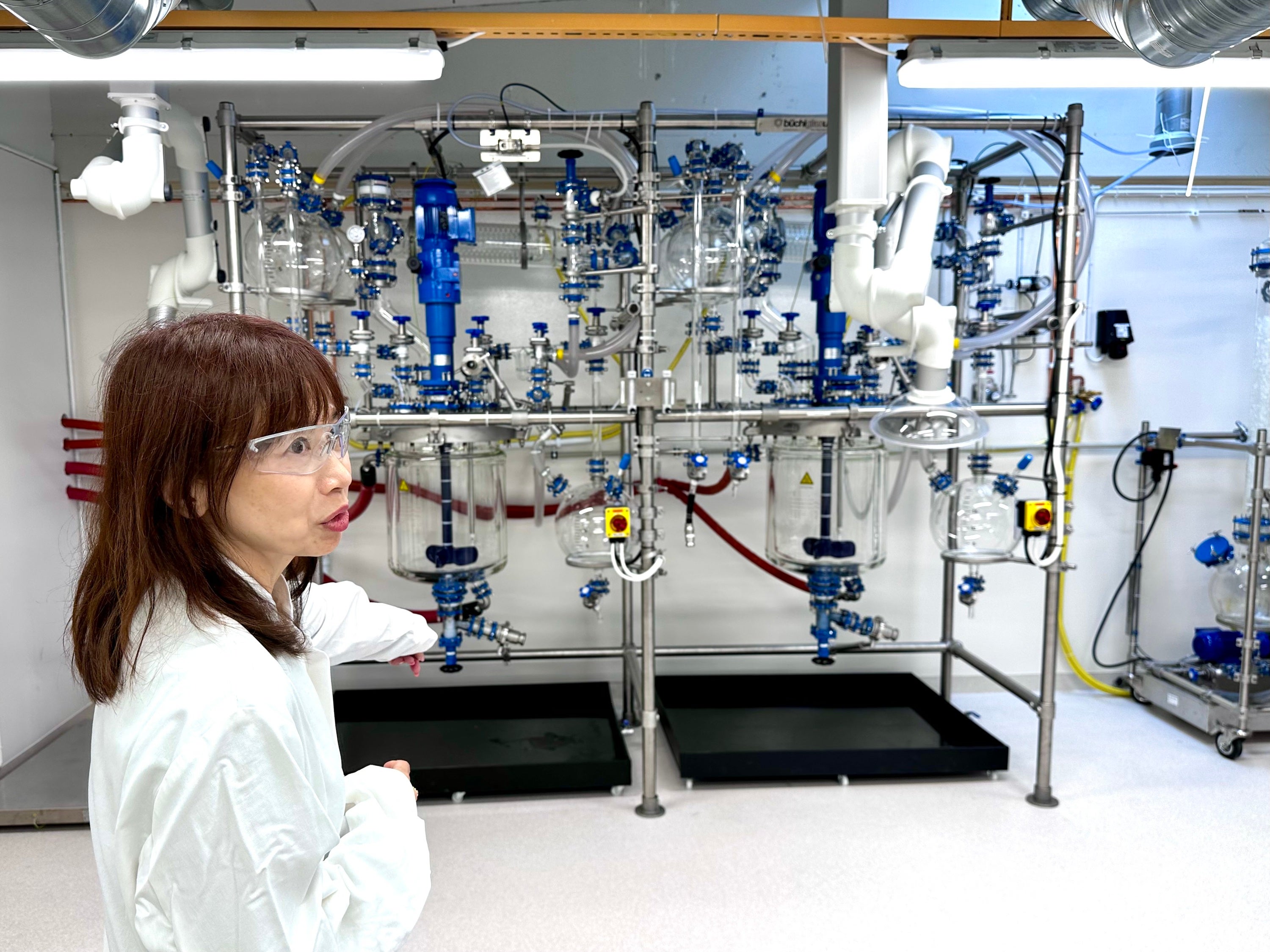 デアザフラビン スチームバーム+ナディアップ ディーザ 注目の先端ハリツヤ成分 デアザフラビン配合！ （エチル