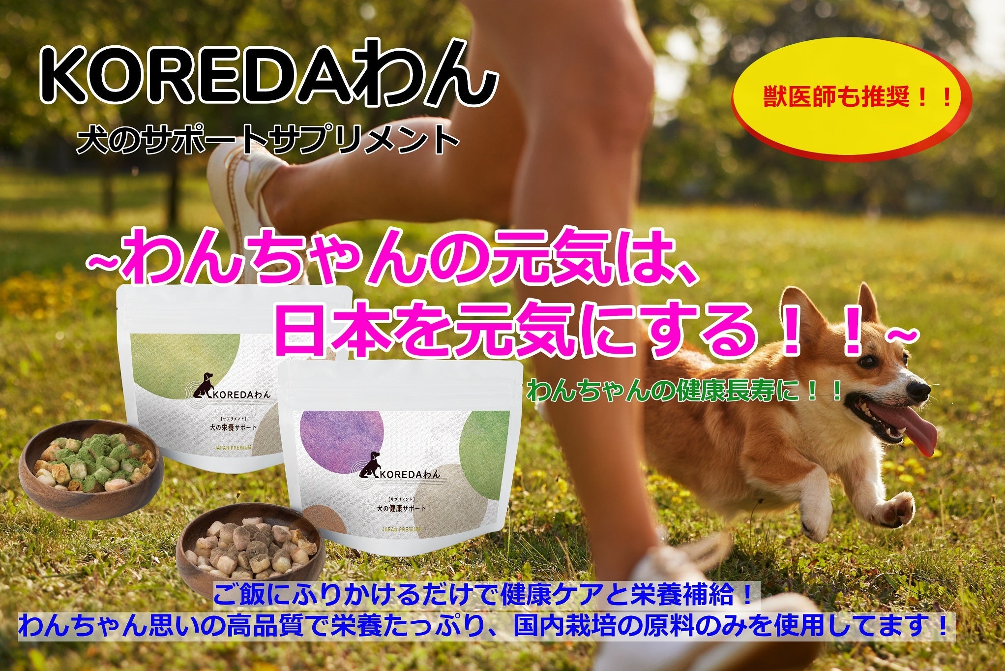 わんちゃん プロフ確認下さい様 専用品 びっけ室内犬います。プロフ