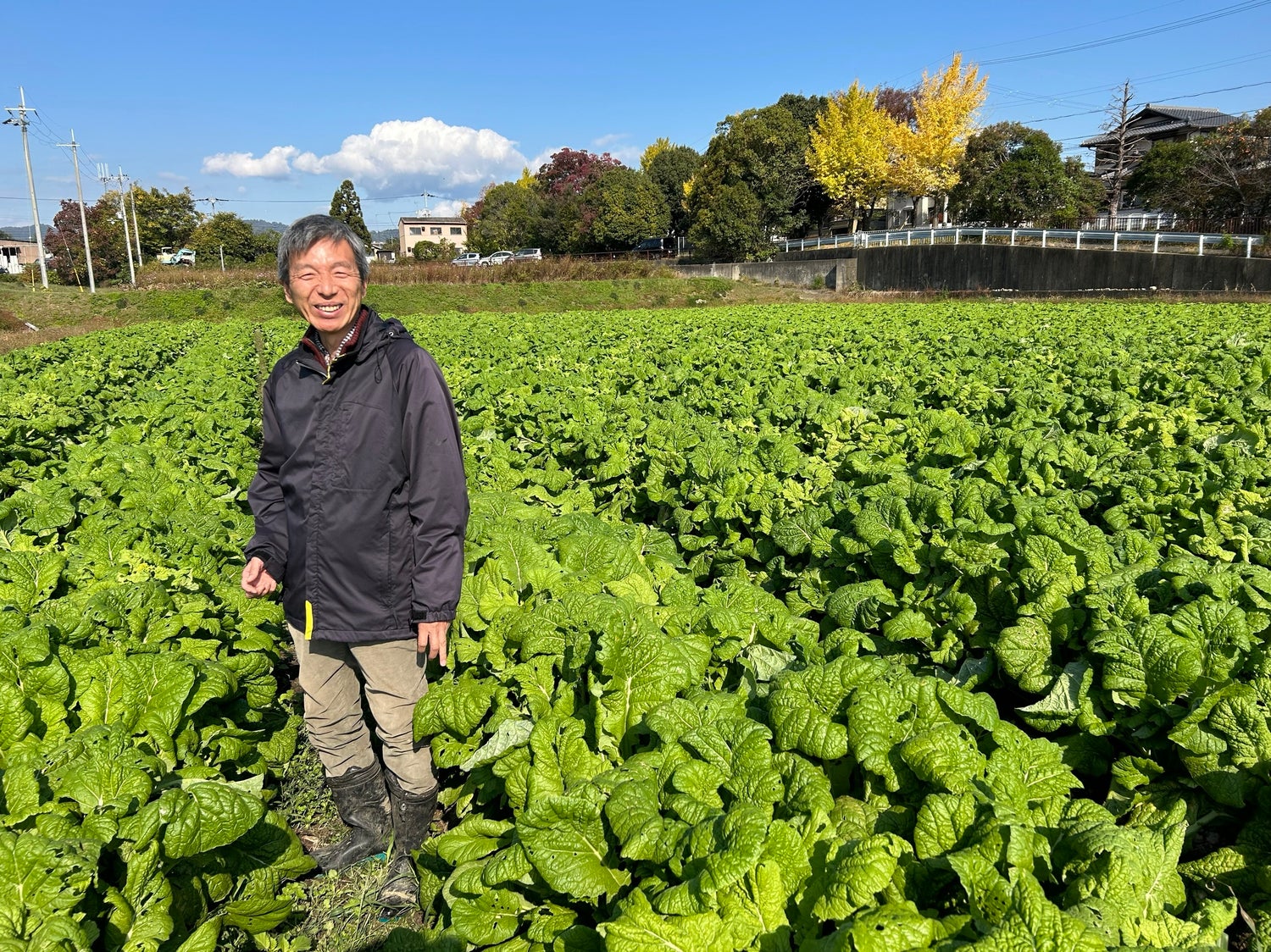 脱サラ新規就農で収穫率0%→年商約5000万円になった校長が語る、有機農業専門の学校「亀岡オーガニック農業スクール」にかける想い
