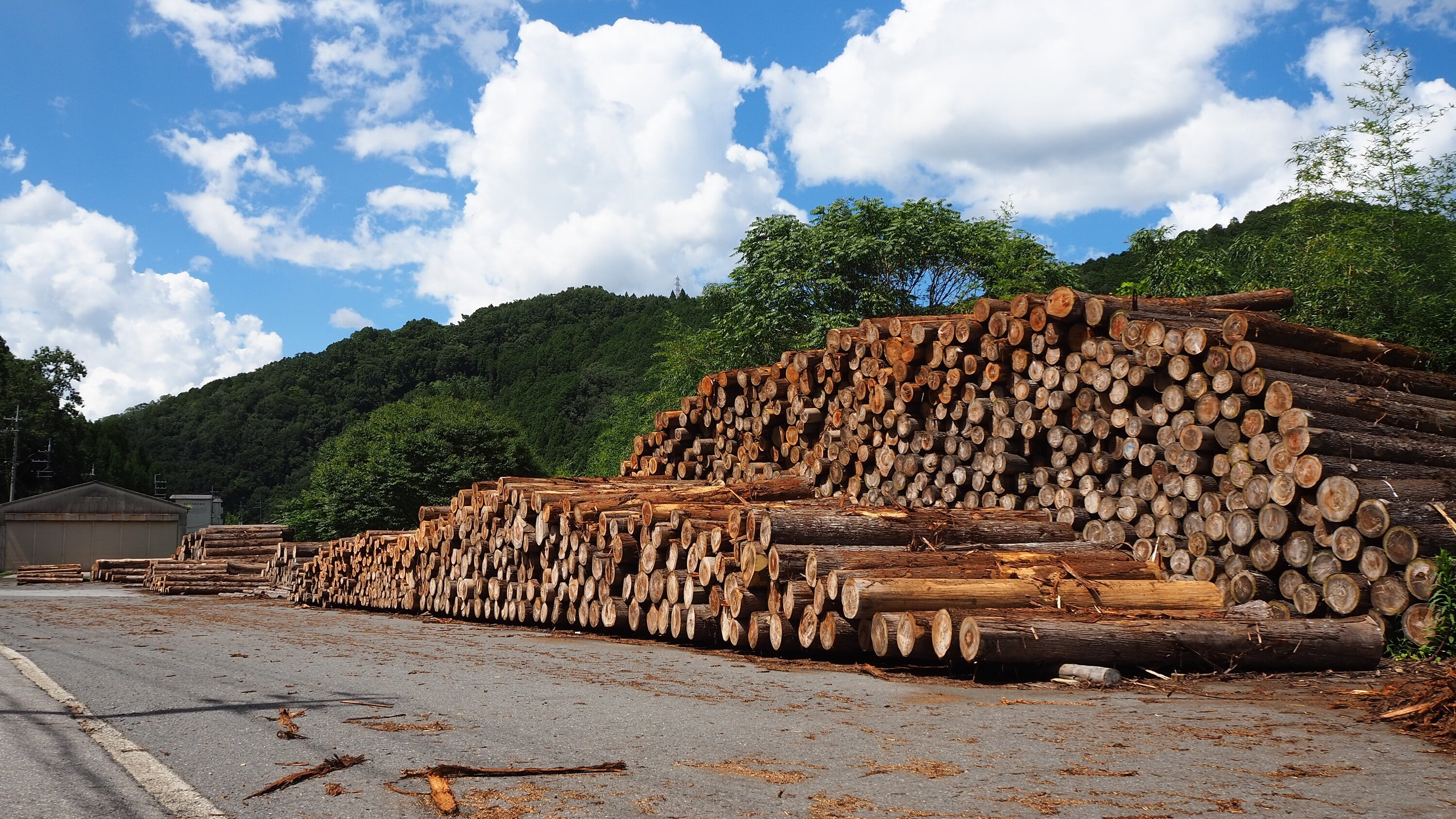 造林発祥の地”吉野”から国産材の魅力を全世界へ。吉野林業の伝統と技術を次世代へ継承するために、公務員から木工事業に転身。吉野の森とともに歩む持続可能なまちづくりにチャレンジします。