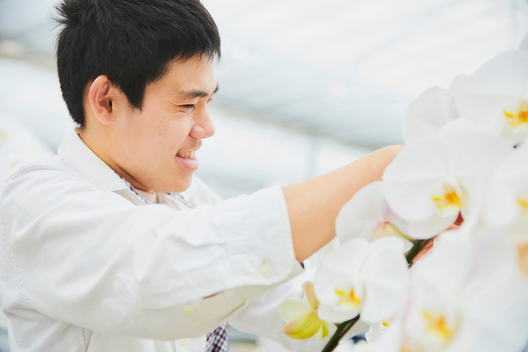 障がい者が生産した胡蝶蘭の売上が、前年比115%~120%で成長中。農福連携の胡蝶蘭「Planet Hug Orchid（プラハグ）」の創業ストーリー。