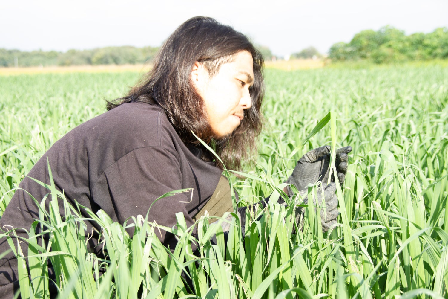 【毎日〝草〟と向き合う男】小動物が牧草を食べない問題に、本気で挑む。―― 勝負の春 ――「牧草王子」が 令和8年産 国産牧草にかける想いとは。