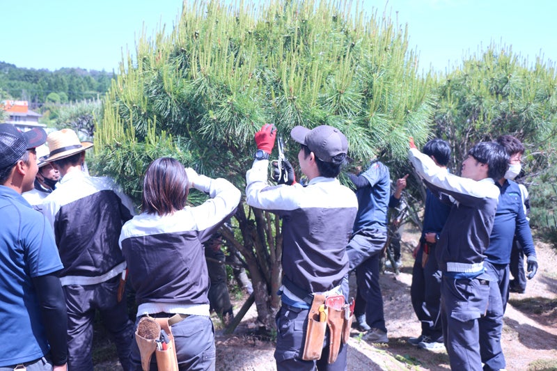 グンゼの緑豊かな環境づくりの取り組み、生物多様性保全のための植樹・育成活動