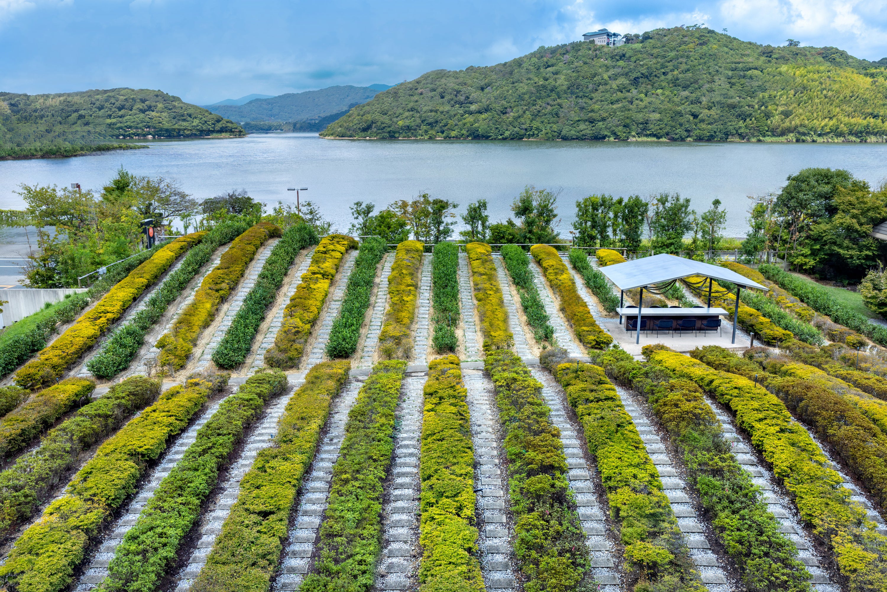 私たちが「湯守り」を超えて「茶守り」になった理由。　プロが諦めた土壌を、一人の師範とスタッフの誇りで再生させた8年の軌跡