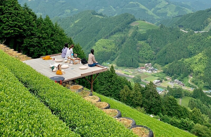 お茶畑の真ん中にある“茶の間”で、絶景と淹れたてのお茶を楽しむ極上