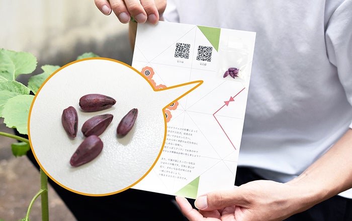 ZENN 　*　ベース用 ハードケース　【サマーセール】 天然貝 スマートフォンホルダー スマートリング - 【公式サイト