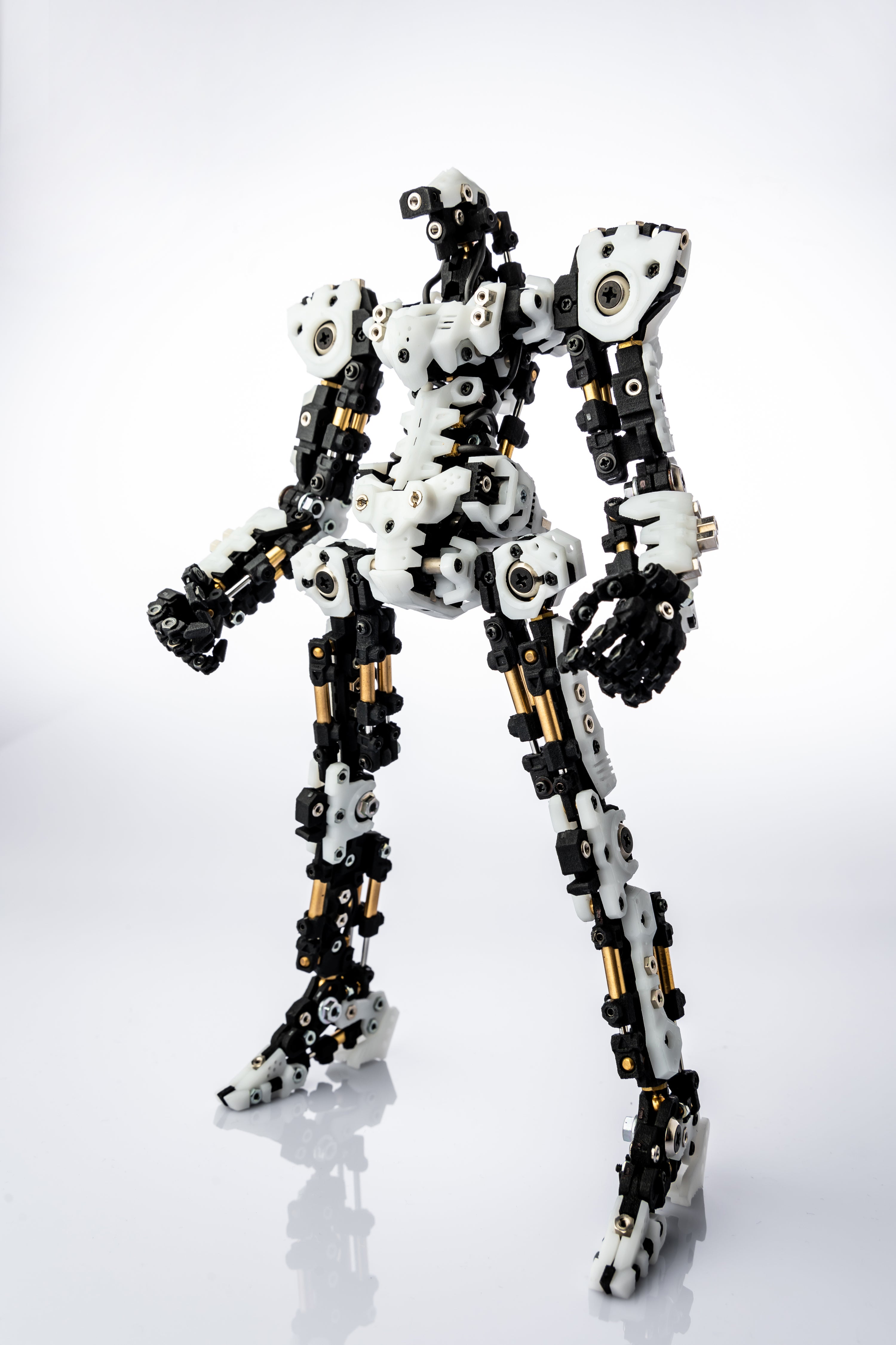 模型ファンから多くの支持を得たロボット模型「ラグナロイド」の開発