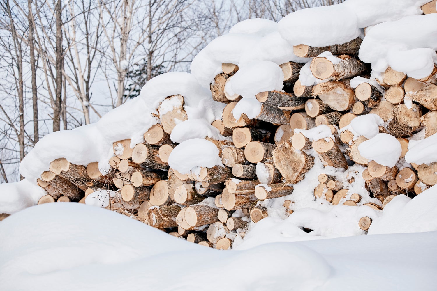 全ての材料に国産材を使用した床材『Live Natural Premium オール国産材』を開発した朝日ウッドテックのこだわりと、床から日本の山を変えていくための想い