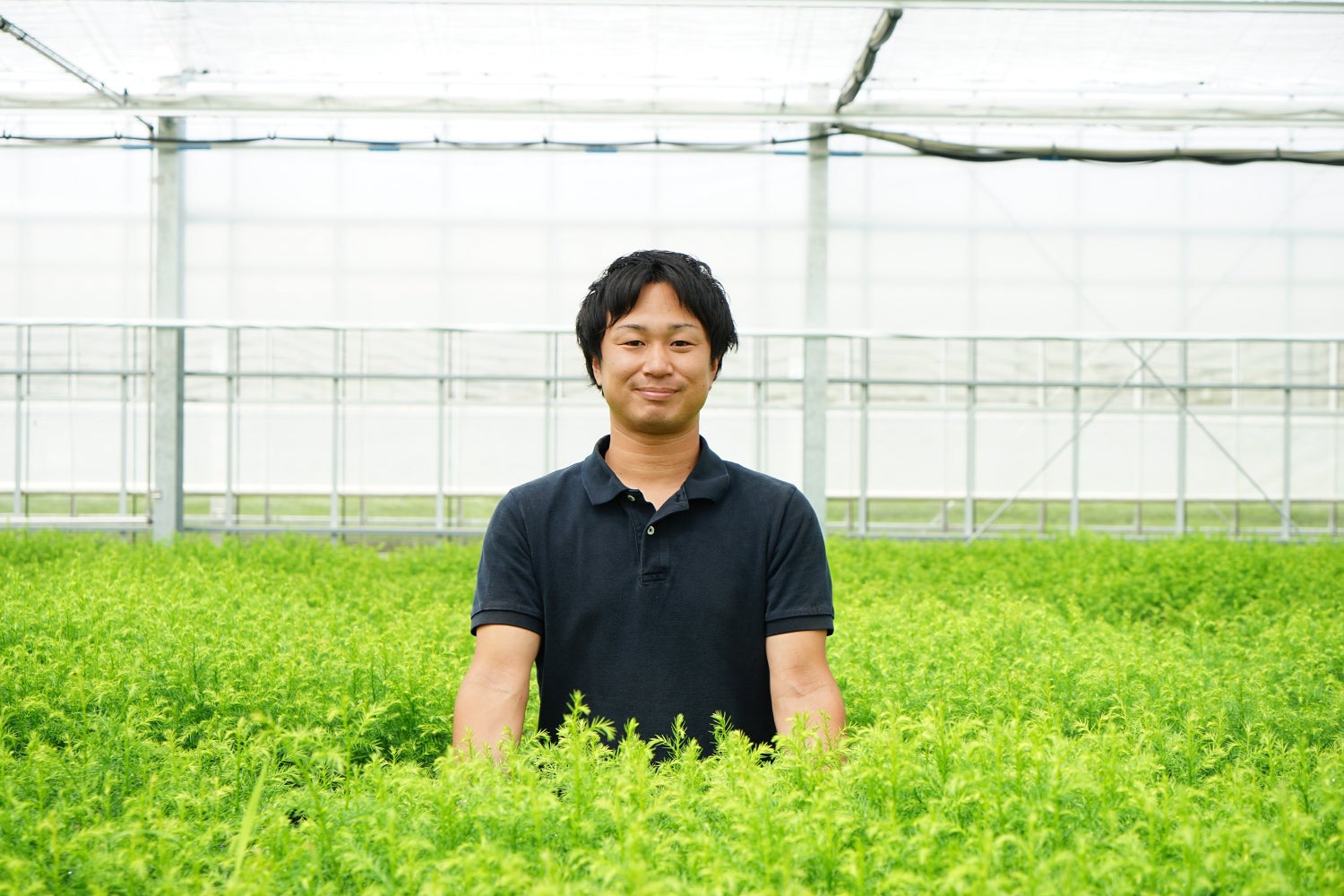 日本の森林の若返りに貢献! 次世代に豊かな森林資源を残すため、コンテナ苗木生産・管理に奮闘する住友林業の若手社員に迫る!