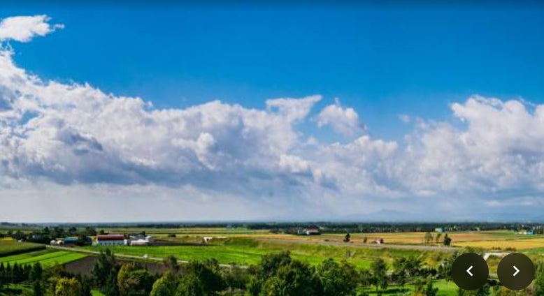 CO2削減と耕作放棄地 2つの社会課題を解決する「営農型発電所」