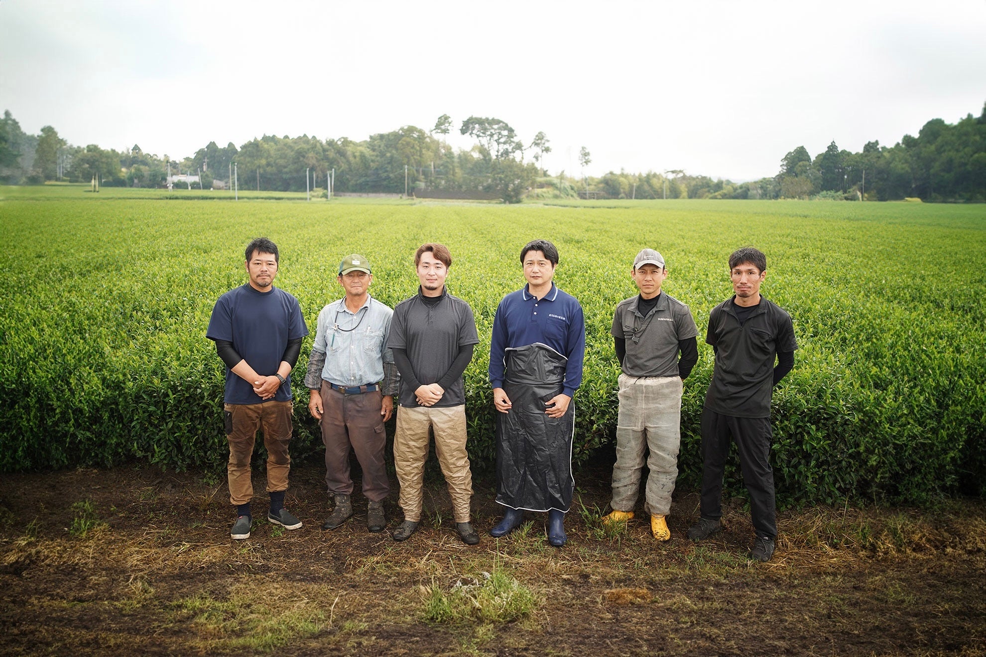 データ活用で製茶業務を効率化。鹿児島県・堀口製茶のデジタル化サポートの裏側