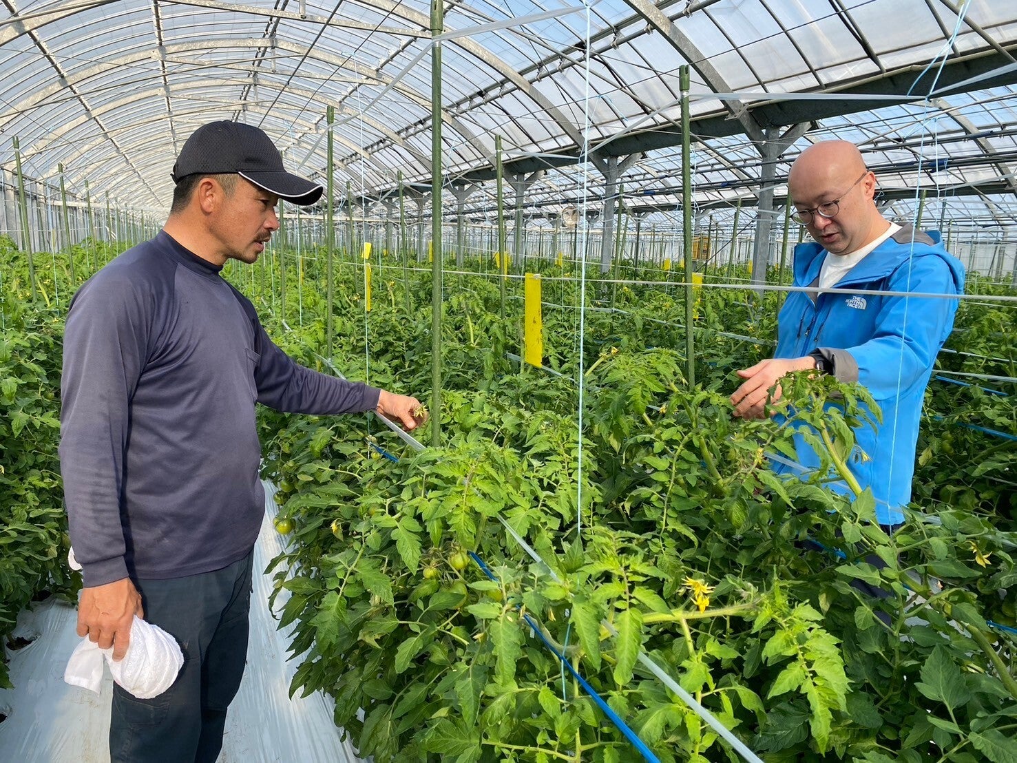 気象データの活用で、農業の生産性向上と次世代が就農しやすい環境作りを。ながさき南部生産組合の取り組み