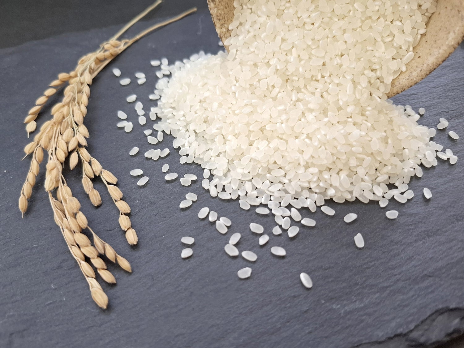 コメの価格、安定のカギは“ちょうど良い価格”を目指すこと