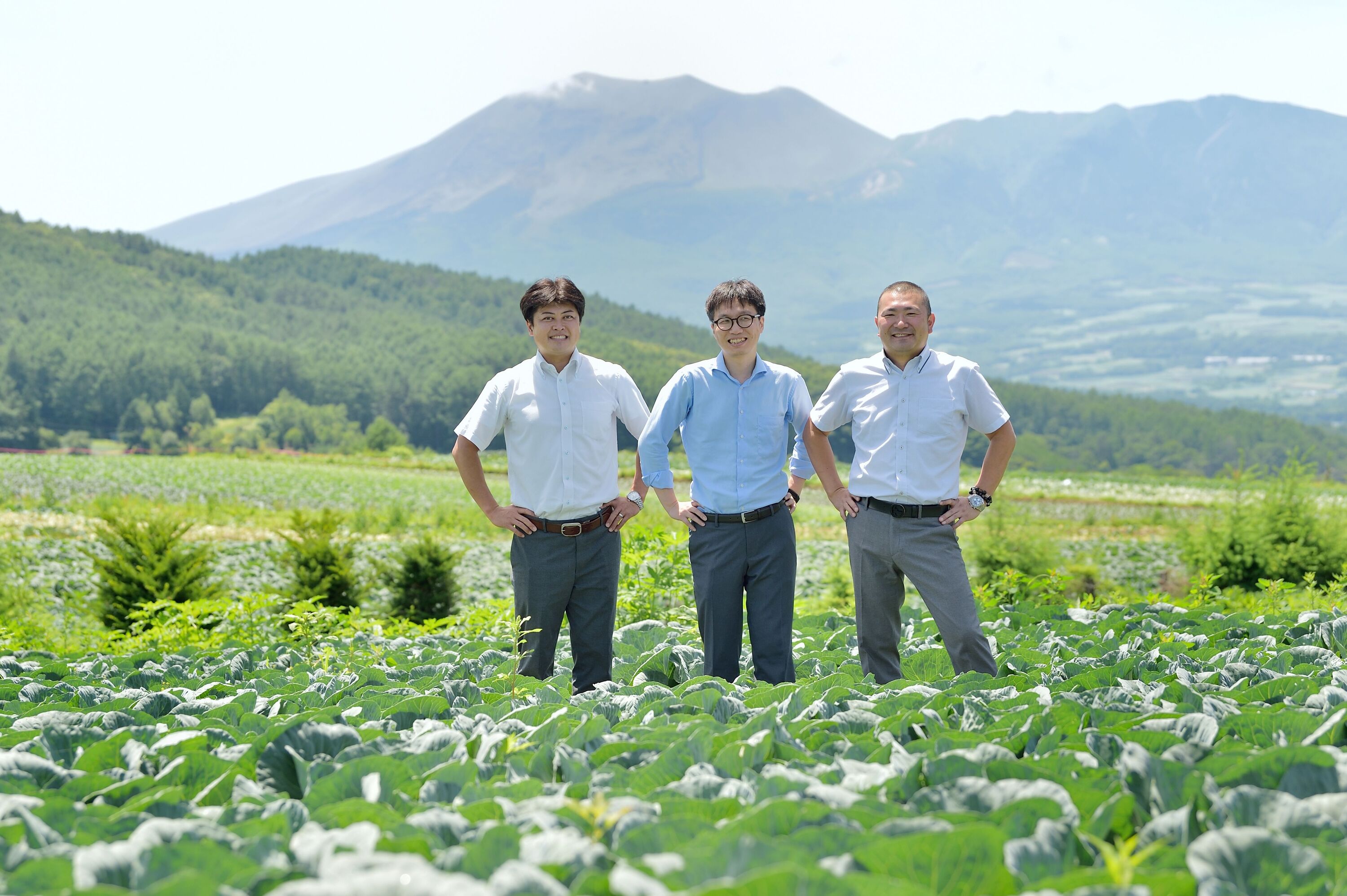 好評の「青じそ」を使用したサラダが定番商品として登場 「10品目の