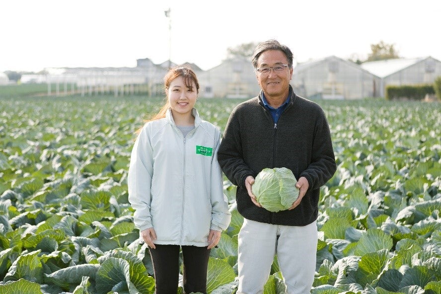 高品質だからこそできる。この冬もぜひ味わってほしい、愛知県産キャベツの増量企画