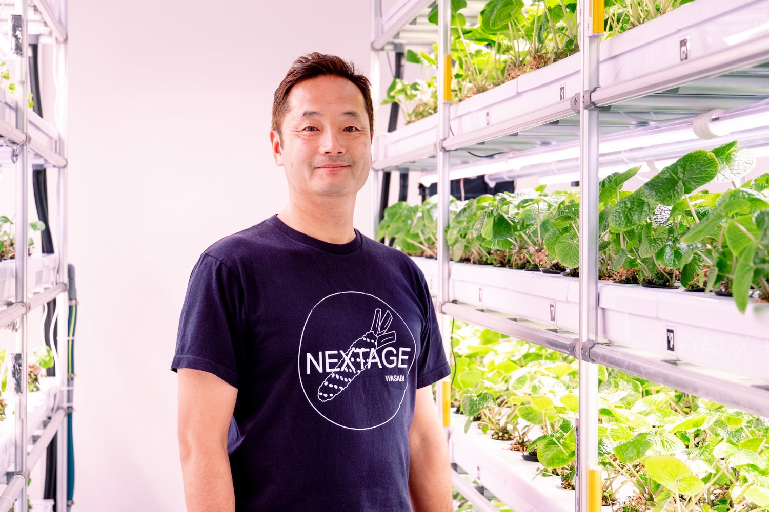 わさび×テクノロジーで、“日本のわさび”を世界に。「わさび栽培技術」を継承し昇華させるアグリテックベンチャー・NEXTAGEの挑戦