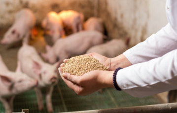 効率化が鍵！『飼料流通合理化』が支える持続可能な畜産業の未来　～ドライバー不足で「運びたくても運べない」飼料輸送問題に取り組む重要性とは？～