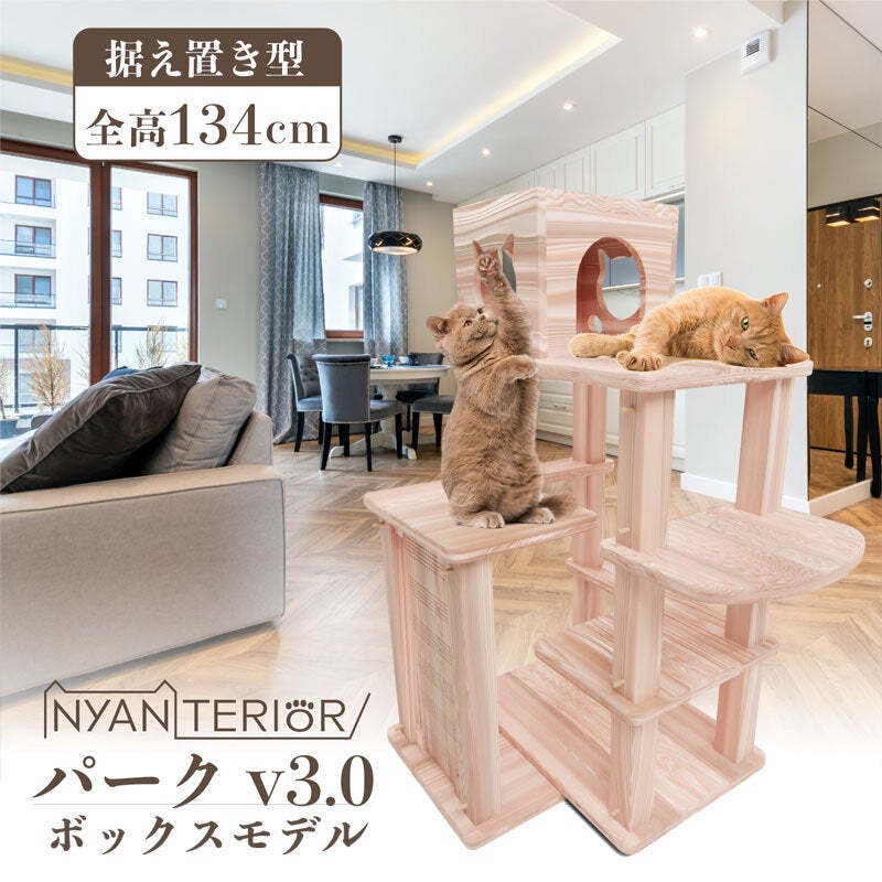 日本の固有種「杉」から作る猫用品ブランド「ニャンテリア」の開発 