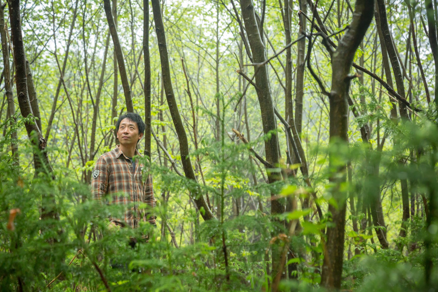 森林のレンタルサービス「forenta」の始まりのストーリー。「共有」が生み出すまったく新しい林業の現在地とは