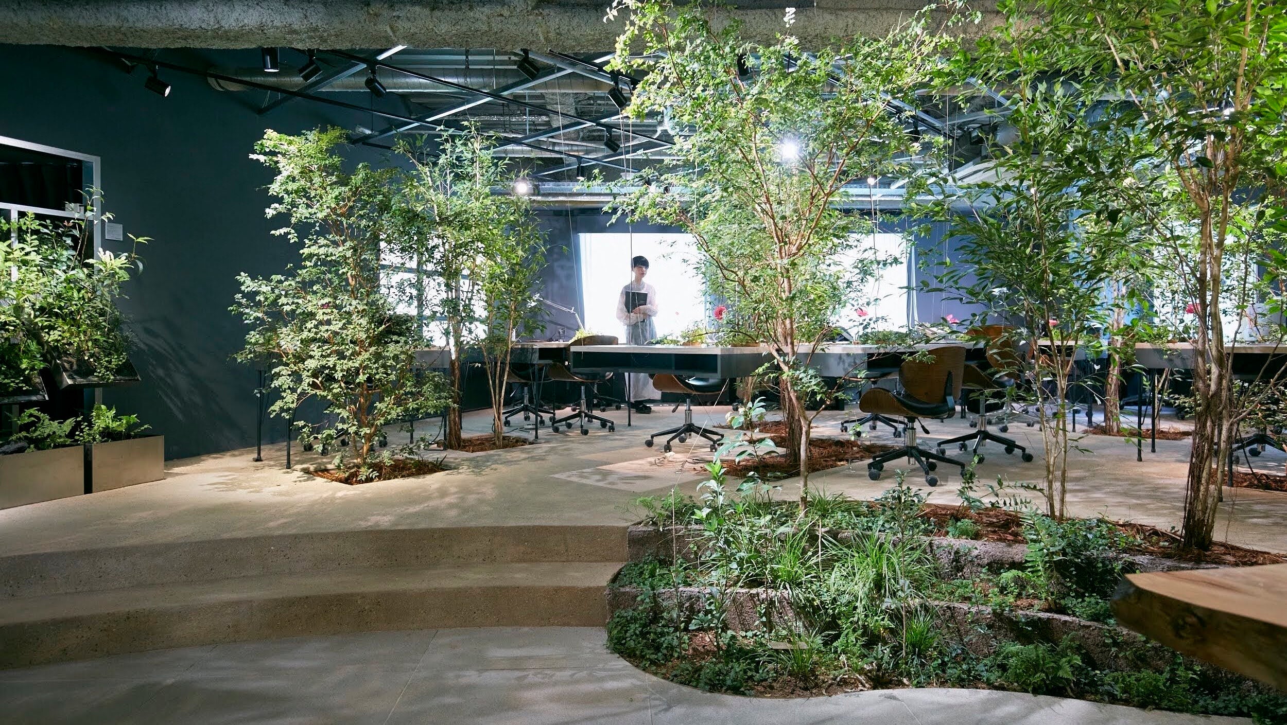 室内を「公園化」するほど、森が豊かになる仕組みづくり