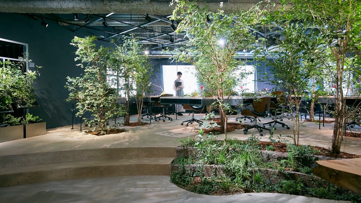 室内を「公園化」するほど、森が豊かになる仕組みづくり