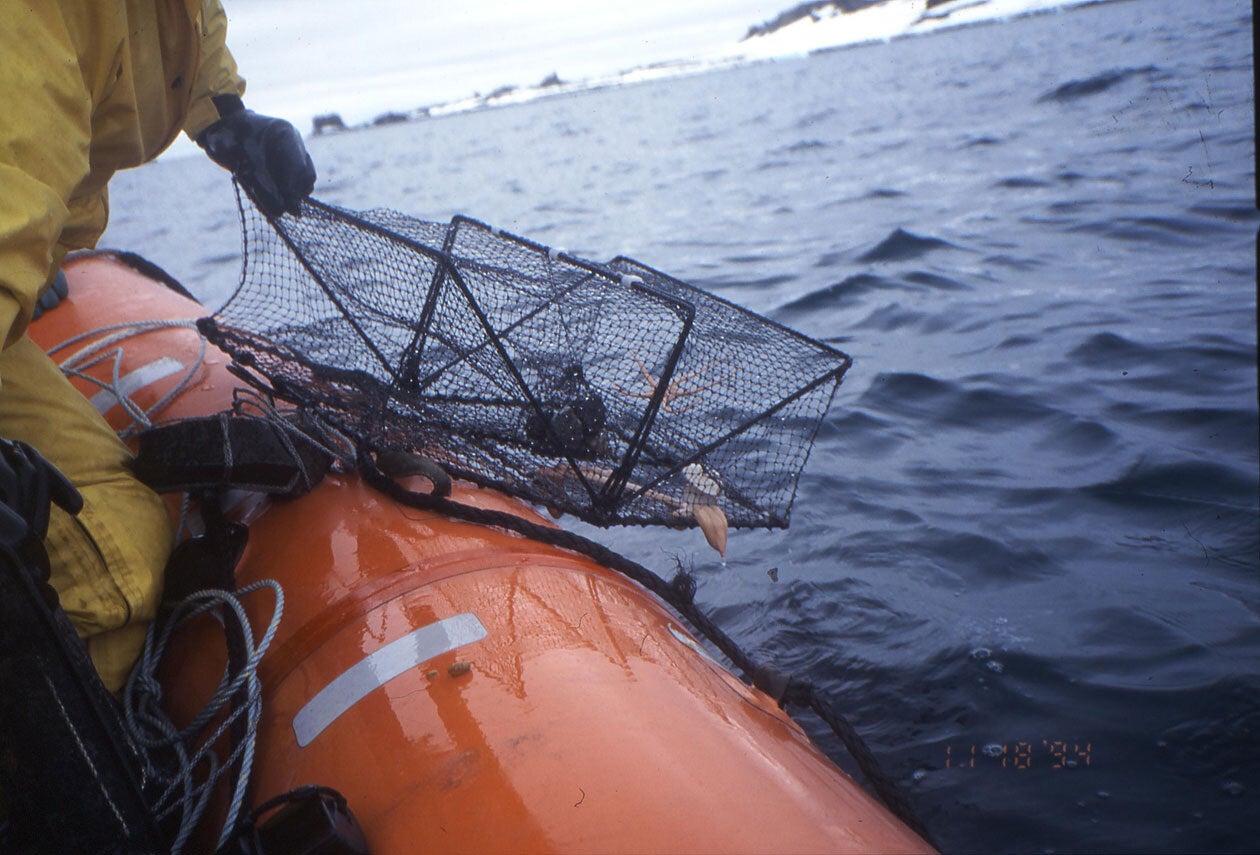 名古屋港水族館30年ぶりの「南極」をテーマにした特別展開催