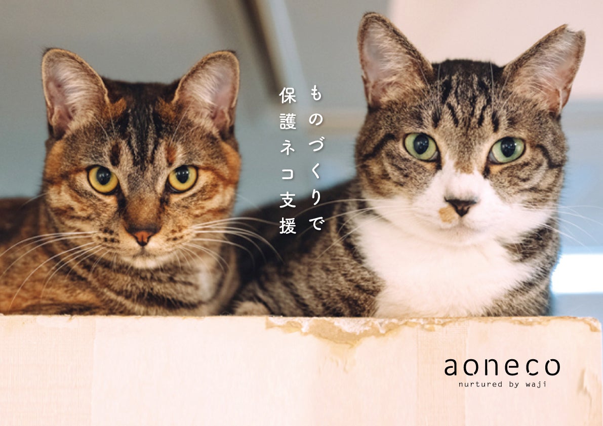 rikuページ♡新規様リクエスト　猫様　猫オブジェ 楽天市場】【即出荷商品】ムーンライトキャット ライトスタンド