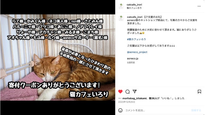 猫しもべ社長が挑む、新しい保護ネコ支援プロジェクト