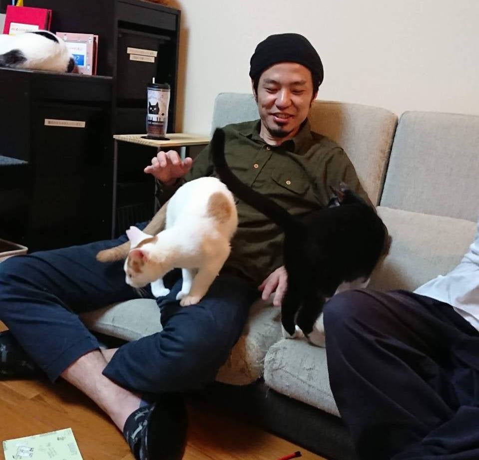 ねこねこさん専用。写真・商品説明ご確認お願いします ねこあつめ 36せばすさんの通販 by あ～ママ's shop｜ラクマ