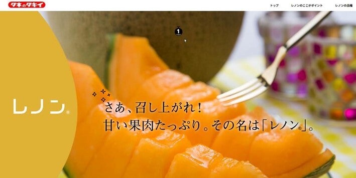 メロンの消費拡大へ 安定的に生産可能な赤肉「レノン」メロン誕生ストーリー