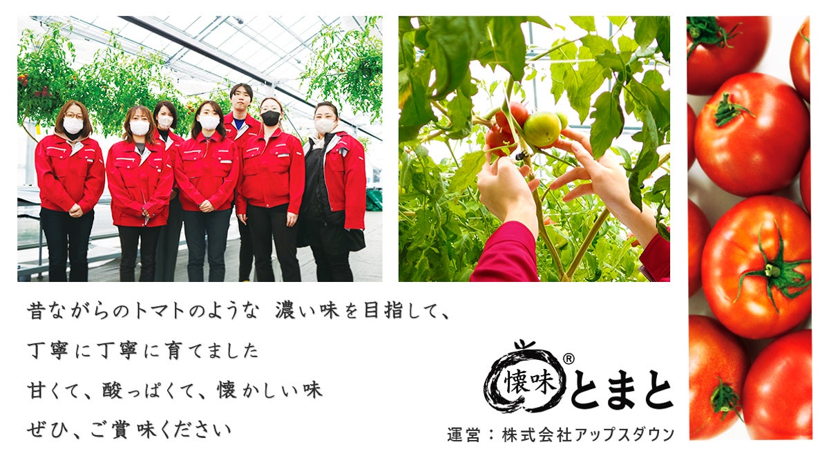 農業へゼロからの挑戦で見えた意外な商機。製造業ならではの発想と非常識が生み出したオリジナルブランド「懐味とまと」