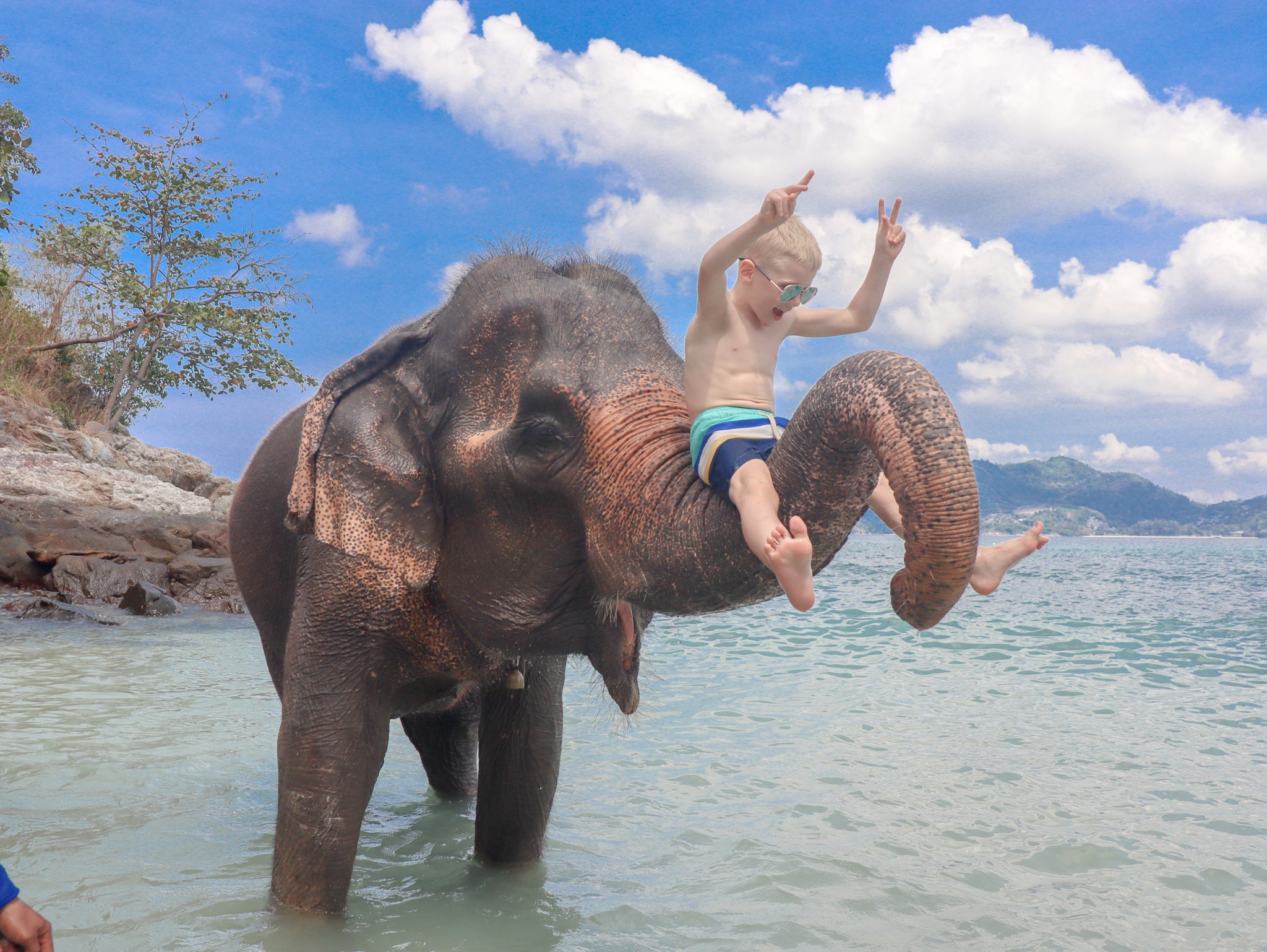 救世主は “象” だった！旅行会社が挑んだプーケットの新境地